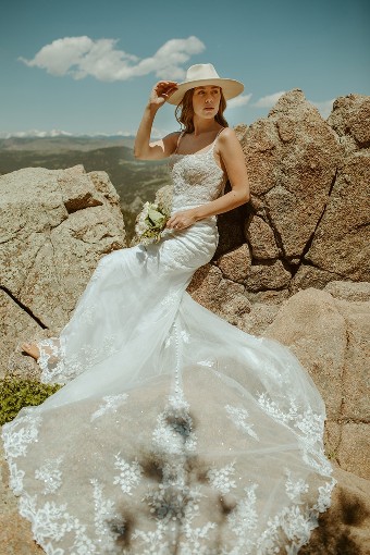 Essense of Australia D3407- EOA #0 default (IVRM-PL) Ivory Lace & Tulle over Rum Gown w Porcelain Tulle Illusion thumbnail