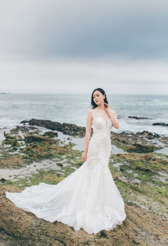 Essense of Australia D3393-EOA-F21 #0 default (IVRM-PL) IVR Lace & Tulle ov Rum Gwn w PLN Front Bod Lining & Plunge thumbnail